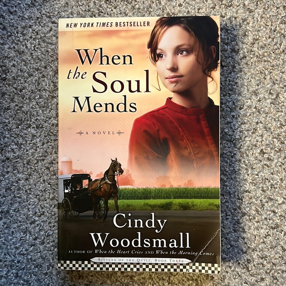 When the Soul Mends a novel by Cindy Woodsmall